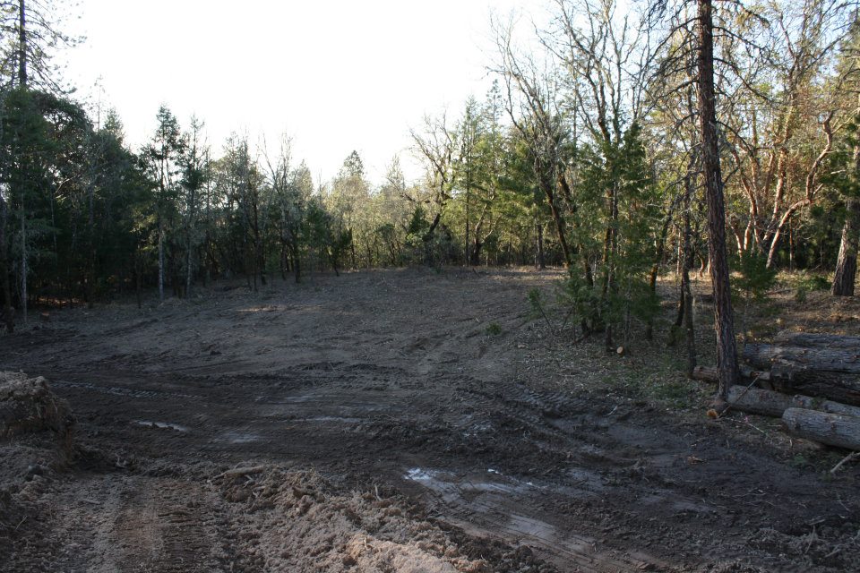 Lot 4 Paradise Vista, Grants Pass - clearing for work shop